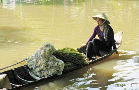 Le delta du Mékong au Vietnam à la saison de l’eau
