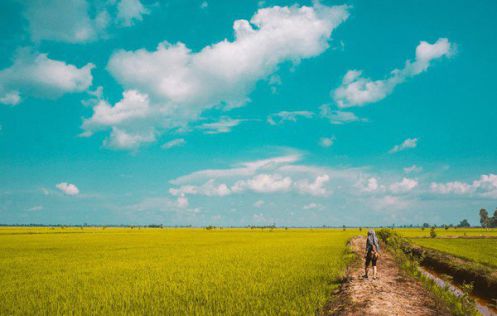 An Giang - la région fluviale authentique attire les touristes - Fareastour