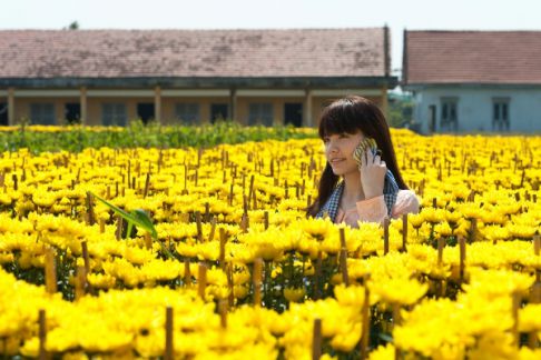 Quatre saisons brillantes au village horticole de Sa Dec - Dong Thap