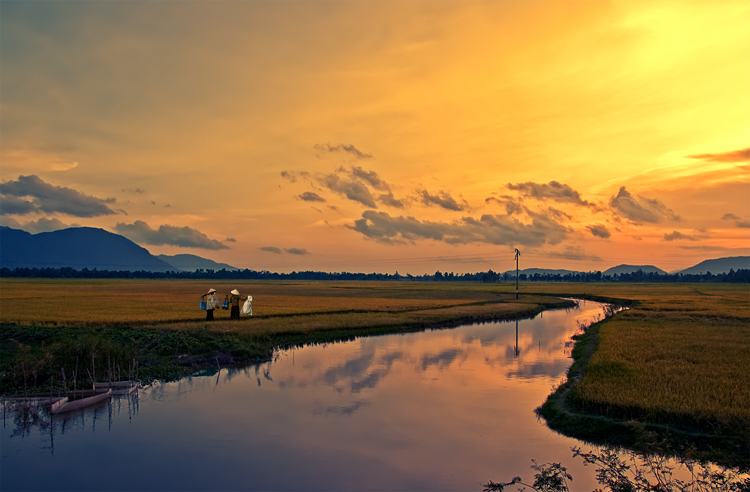 Delta du mekong