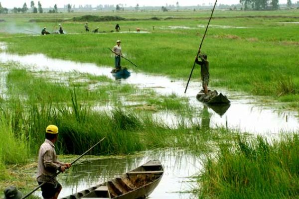 Le Delta du Mékong au Vietnam