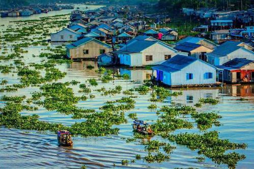 voyage an giang - circuit delta du mékong - village flottant chau doc