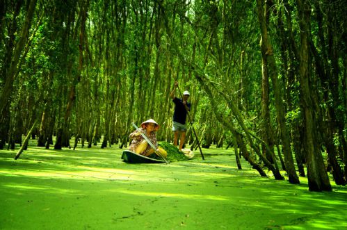 voyage an giang - circuit delta du mékong - forêt cajeputiers tra su