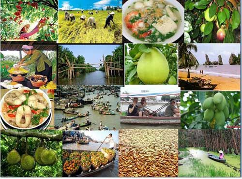 Jardin du fruit-Croisiere Mekong