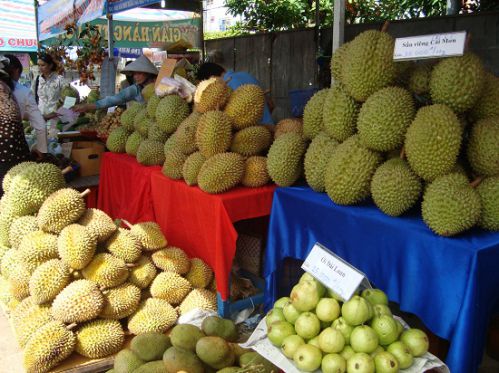 Verger de Cho Lách – Paradis des fruits