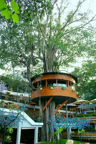 Le cafétéria sur l’arbre – le plus insolite de Saigon