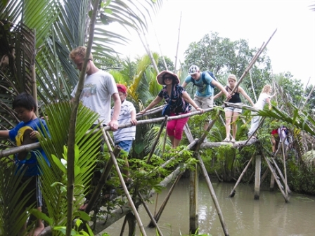 Le pont de singe dans le Delta du Mekong