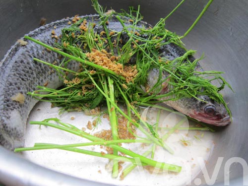 Congee de poisson à tête de serpent