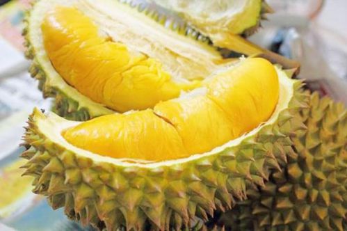 Tourisme en été au Delta du Mékong: Goûter des célèbres fruits