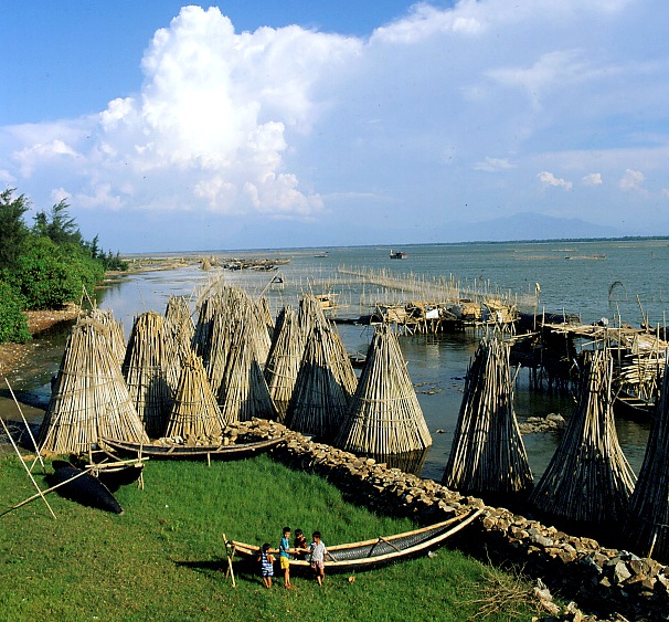 Les marais et lagunes les plus marquants du Vietnam