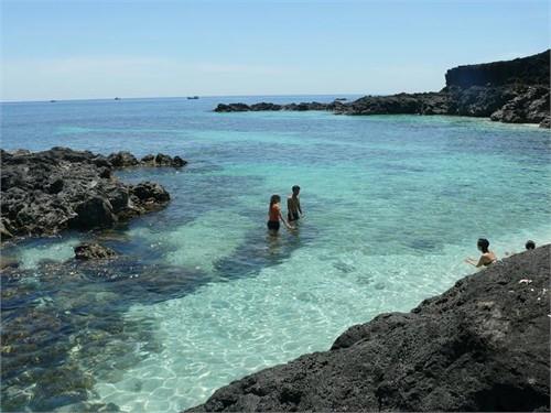 Ile de Ly Son - royaume de l'ail