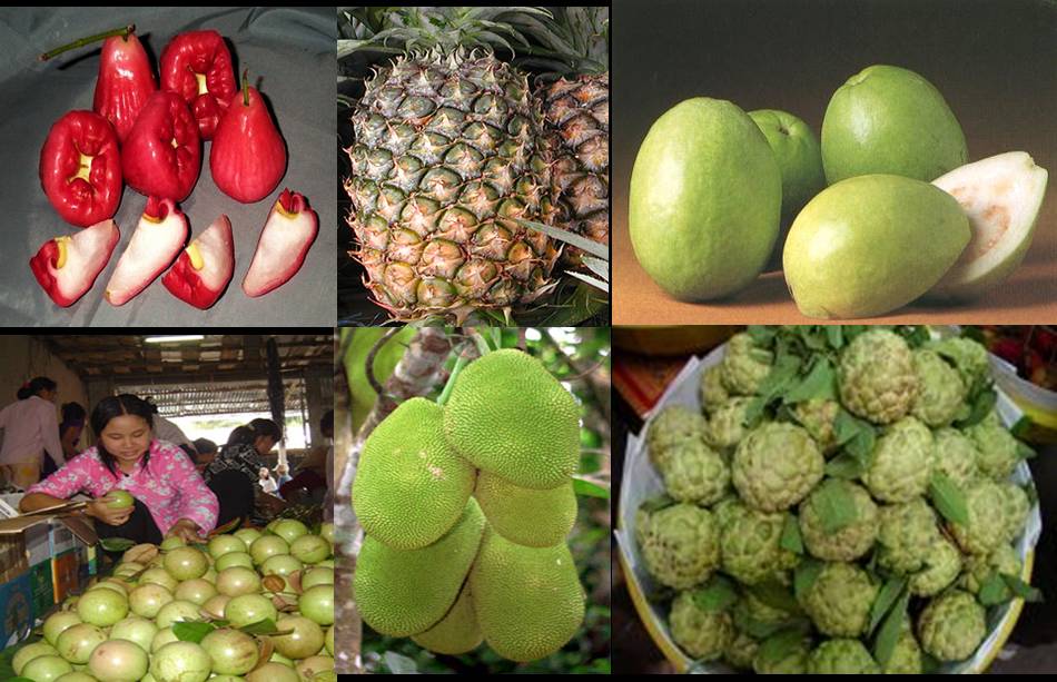 Vietnam - paradis des fruits tropicaux