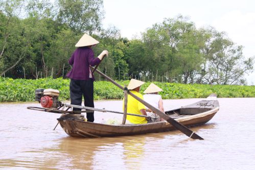 Delta du Mekong
