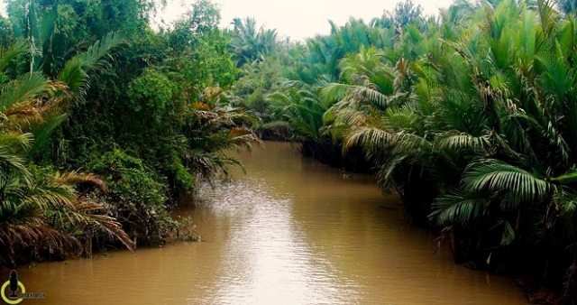 Circuit Mekong 3J My Tho - Ben Tre - Sa Dec - Can Tho