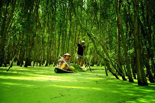 Croisière à la forêt de cajeputiers Tra Su en saison des crues