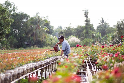 Le village des fleurs est une destination préférée des photographes