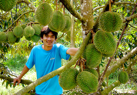 Durians à Ngu Hiep