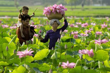 Voyage à Gao Giong, au delta du Mekong