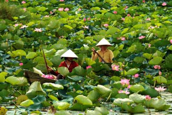 Voyage à Gao Giong, au delta du Mekong