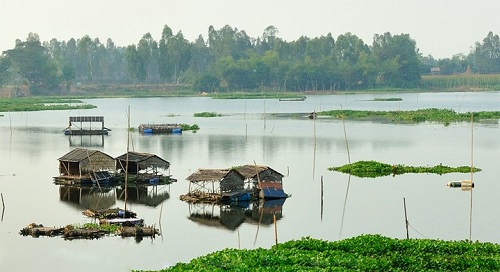 Les maisons flottantes sur le lac de Bung Binh Thien dans le delta du mékong