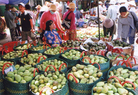 Mangues à Cai be