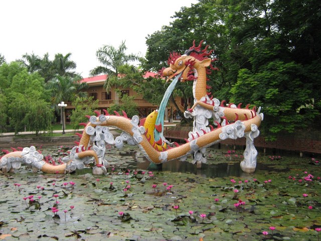 Marais de Long, Ba Vi, Hanoi