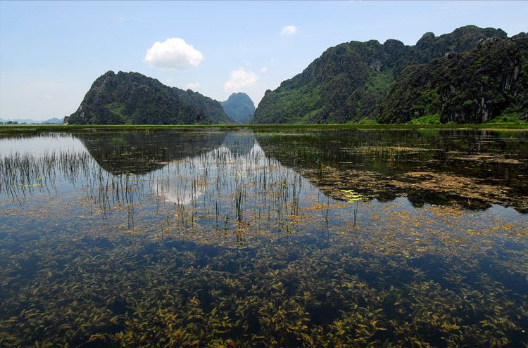 Marais de Van Long, Ninh BInh