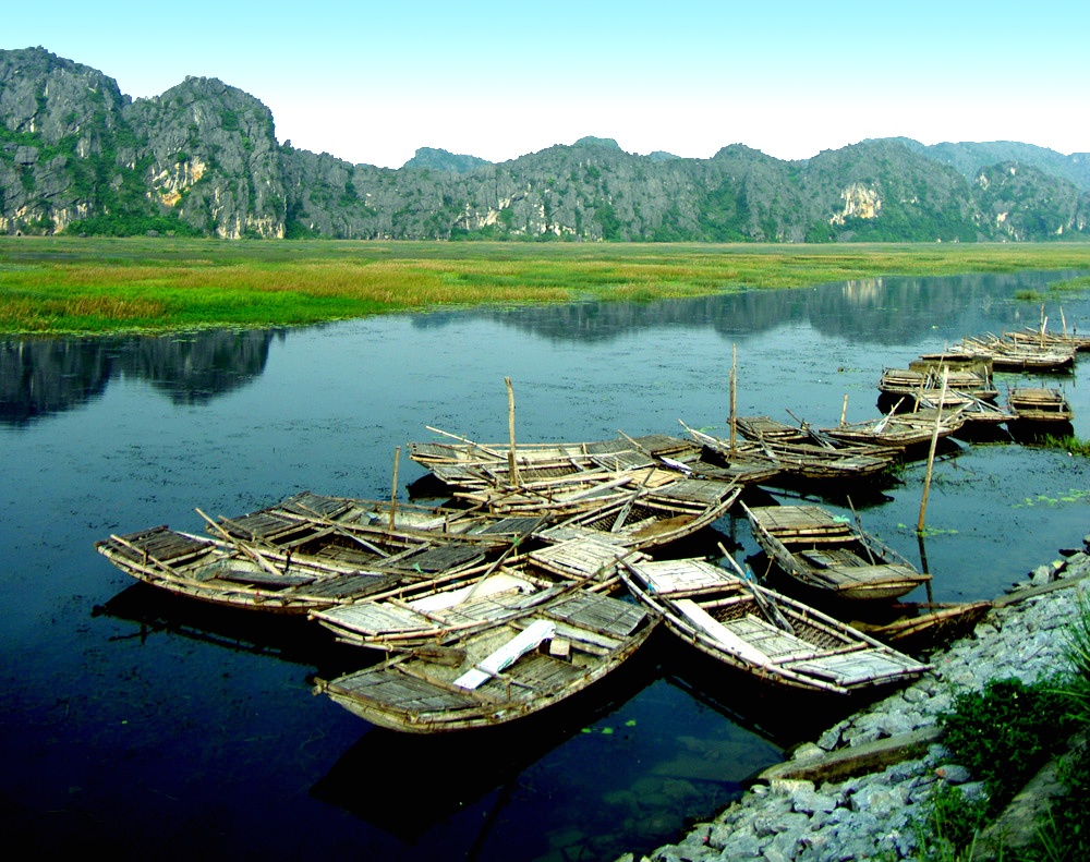 Marais de Van Long, Ninh Binh