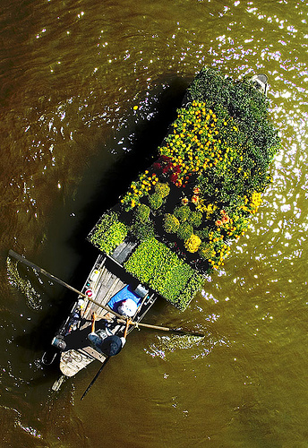 Marche à Ben Tre