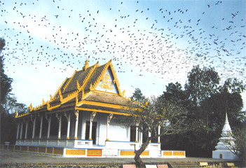 Pagode des chauves-souris à Soc Trang au delta du Mékong