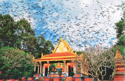 Pagode des chauves-souris à Soc Trang au delta du Mékong