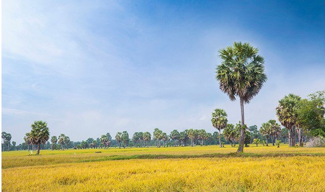 perspective paysagère sublime chau doc