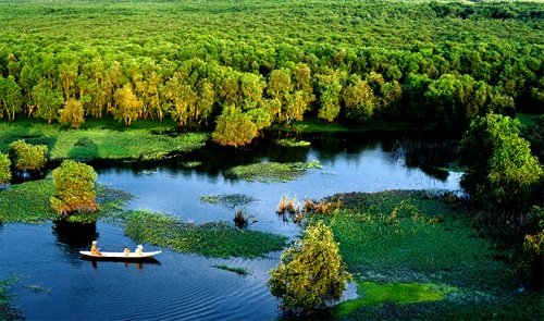Gao giong est le site écologique indispensable dans la croisière au delta du Mékong Vietnam